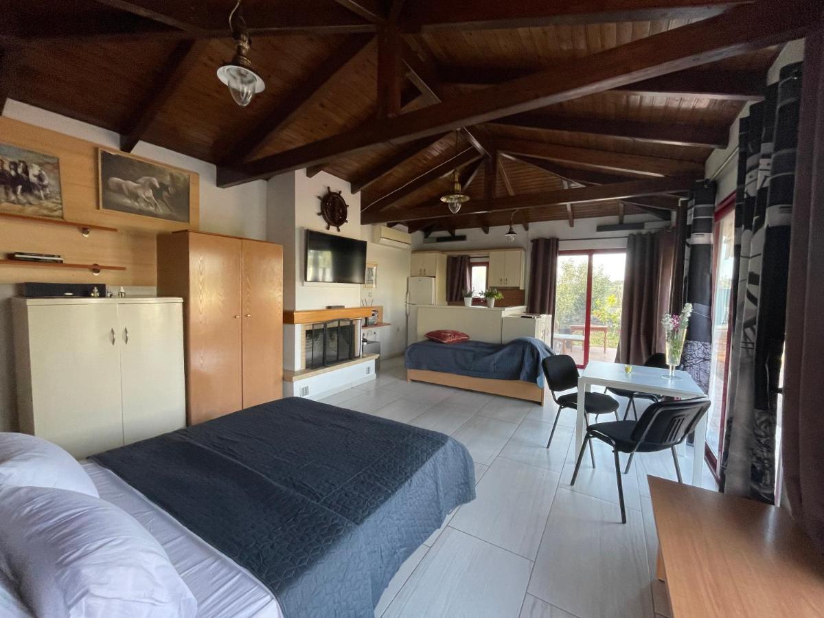 Country Lux Apartment Near Airport Markópoulon Exterior foto