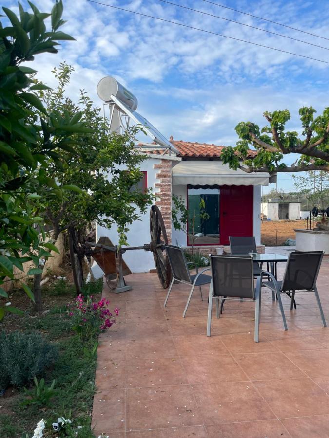 Country Lux Apartment Near Airport Markópoulon Exterior foto